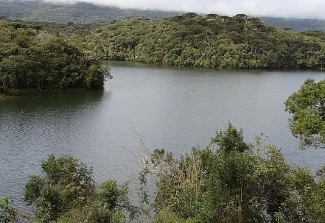 Imagem da noticia 20% dos rios da Mata Atlântica são impróprios para consumo e agricultura
