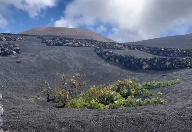 Imagem da noticia Os segredos do vinho produzido em terras vulcânicas da Espanha