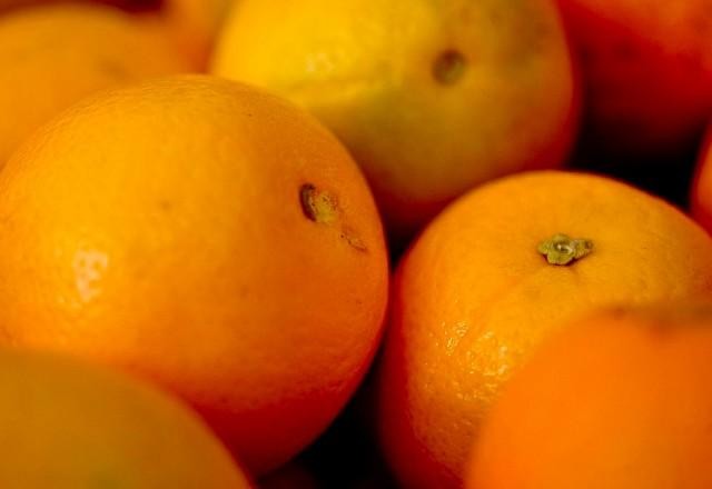 Estiagem impacta produção de laranja no Brasil, aponta relatório da Conab
