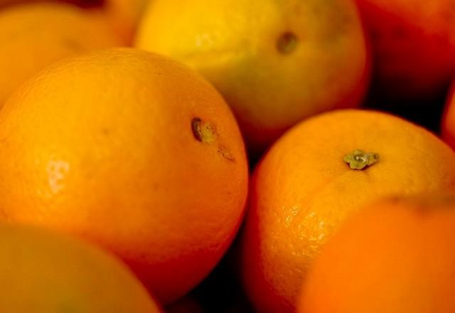 Imagem da noticia Estiagem impacta produção de laranja no Brasil, aponta relatório da Conab