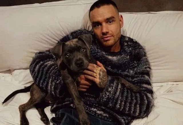 Imagem da noticia Liam Payne: Exame toxicológico encontra 'cocaína rosa' e crack no organismo do artista, diz TMZ