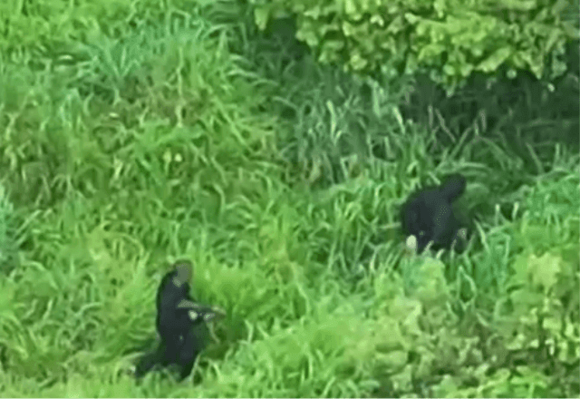 Imagem da noticia Operação policial tem 9 suspeitos mortos em 48 horas na Bahia