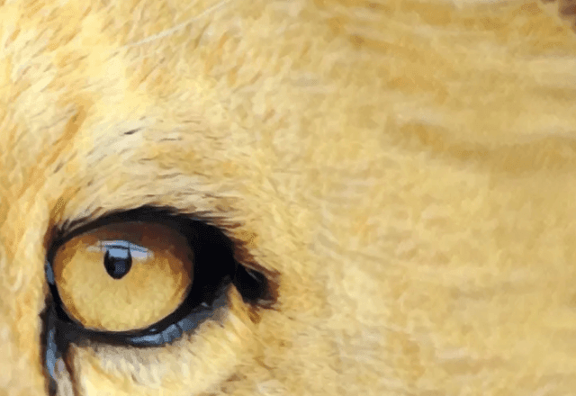 Imagem da noticia Isenção do IR até R$ 5 mil: o que muda na hora de declarar?