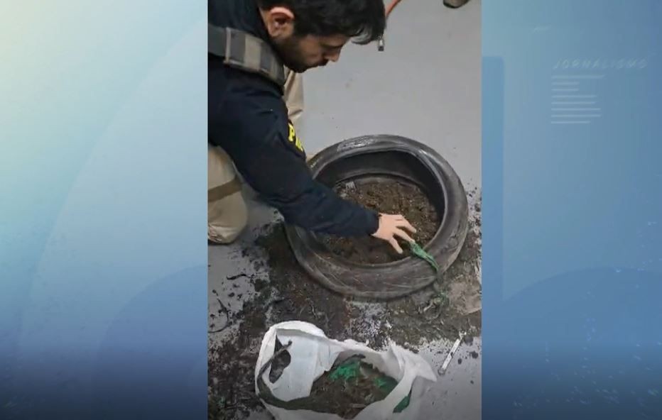 Imagem da noticia Homem é flagrado com  quase 6 kg de maconha em pneu de moto 