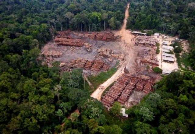 Imagem da noticia Após caso Salles, Ibama muda regra e libera inspeção remota de madeira