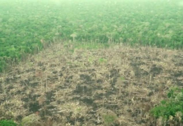 Mais de 1.700 pessoas responderão por desmatamento ilegal na Amazônia