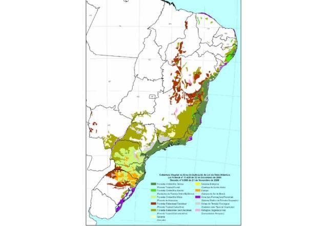 Desmatamento da mata atlântica está concentrado em MG, BA e MS