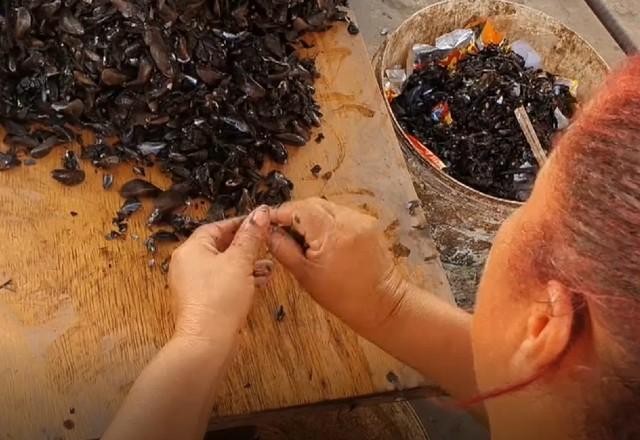 Imagem da noticia Marisqueiras "garimpam ouro" e transformam cascas de mariscos