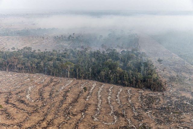 Imagem da noticia Aeroporto de Porto Velho tem voos cancelados e desviados por causa de fumaça 
