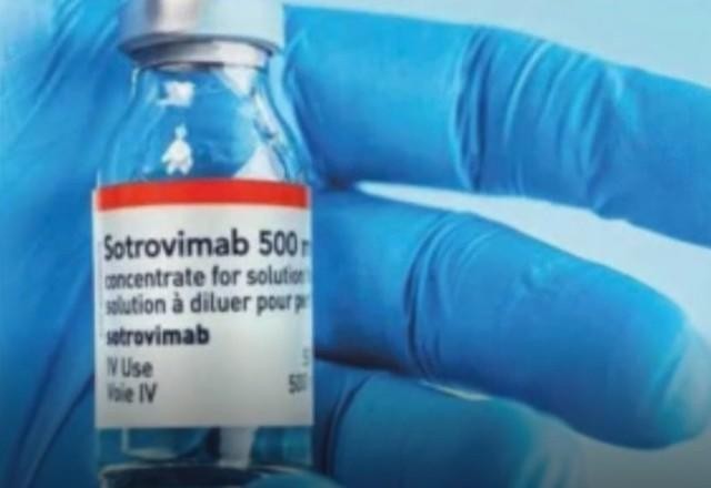 Imagem da noticia Medicamento aprovado pela Anvisa se mostra eficaz contra variante ômicron