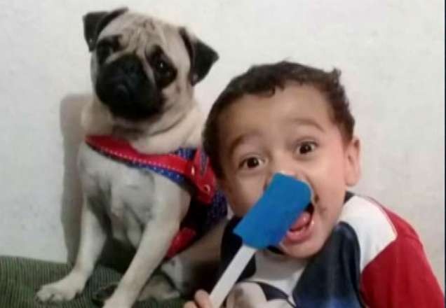 Imagem da noticia Menino de 4 anos morre atropelado na zona sul de São Paulo