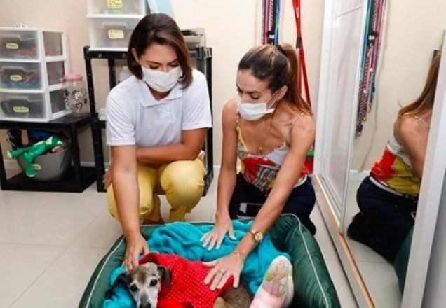 Imagem da noticia Michelle Bolsonaro leva doações a ONG e adota dois cachorros