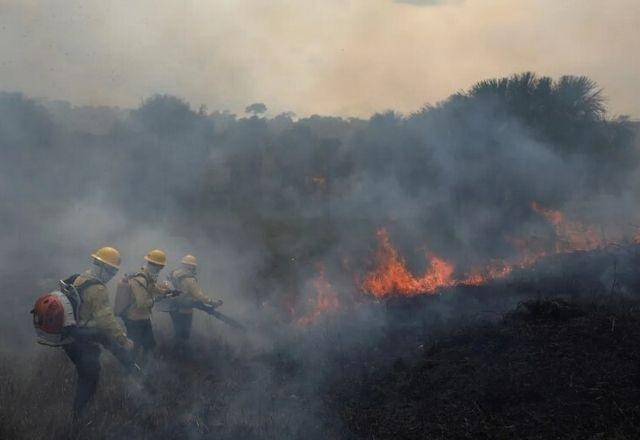 Imagem da noticia Reforço de 149 brigadistas chega a Manaus para combater incêndios florestais