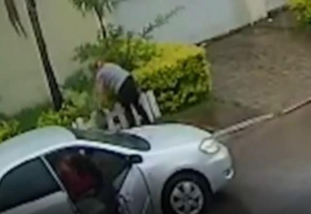 Vídeo: Mulher é flagrada furtando planta de vizinha no DF
