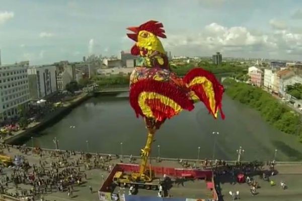 Multidão toma ruas do Recife para seguir o Galo da Madrugada