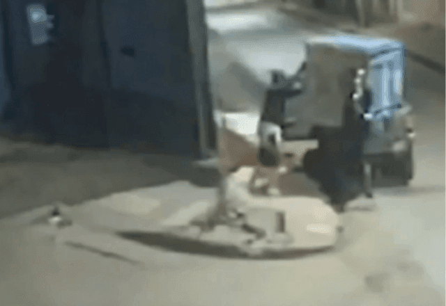 Imagem da noticia Criminosos furtam quase 40 banheiros químicos em Minas Gerais