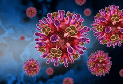 Vírus Nipah e Carnaval: há risco de surto no Brasil? Especialista explica