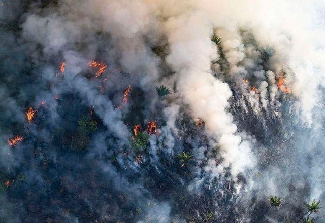 Número de incêndios florestais globais duplicou nas últimas duas décadas
