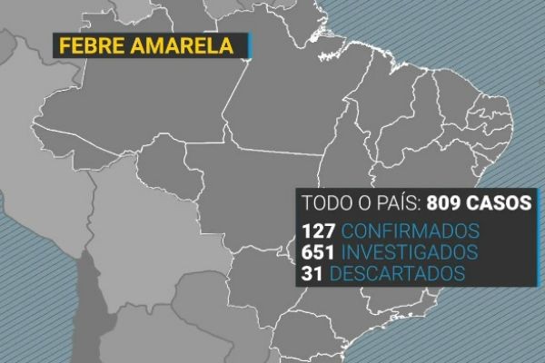 Imagem da noticia Número de casos de febre amarela bate recorde histórico