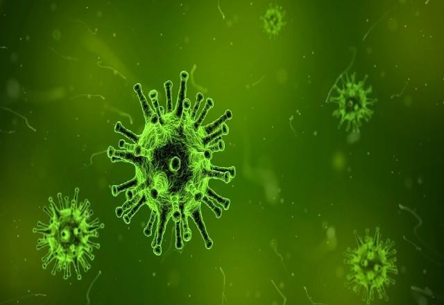 OMS detecta variante britânica do novo coronavírus em 60 países