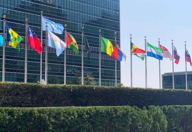 Imagem da noticia ONU: pedido de comprovante de vacina contra covid-19 gera debate