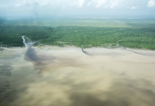 Imagem da noticia ONGs elevam tom sobre possibilidade da Petrobras perfurar Foz do Amazonas