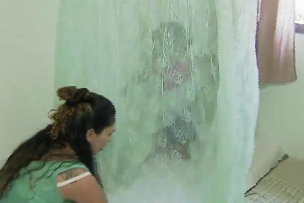 Imagem da noticia Onda de calor ajuda na aparição antecipada de mosquitos em São Paulo