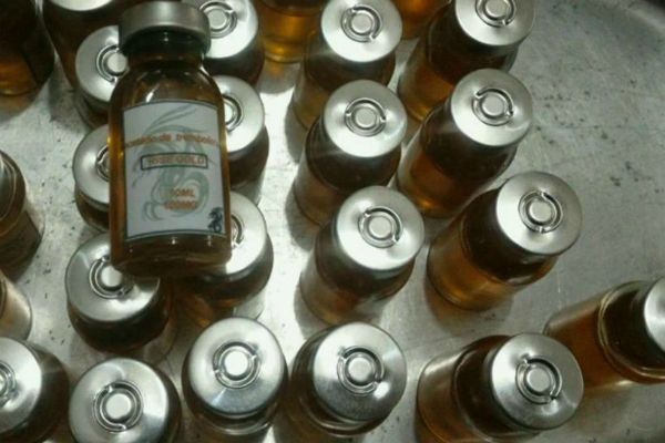 Imagem da noticia Operação Proteína: 27 pessoas são presas por venda ilegal de anabolizantes