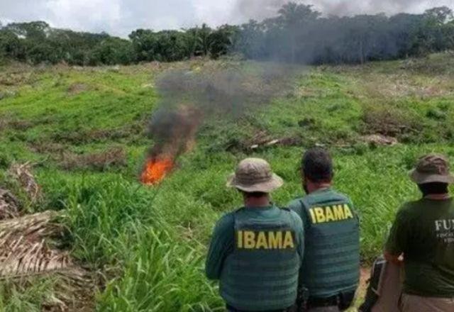 Imagem da noticia Terras indígenas do Pará estão entre as mais pressionadas pelo desmatamento