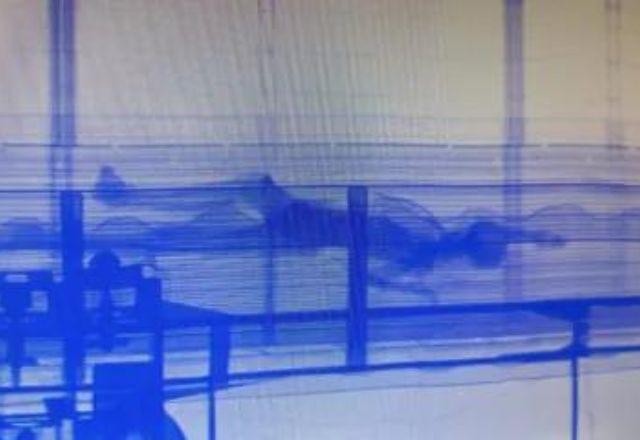 Imagem da noticia Corpo em decomposição é encontrado dentro de contêiner no Porto de Santos