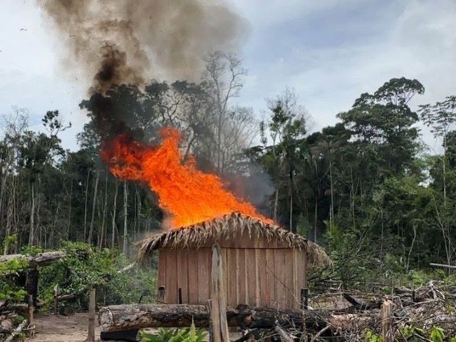Imagem da noticia PF prende invasores que desmataram área equivalente a 120 Maracanãs em terra indígena de Rondônia