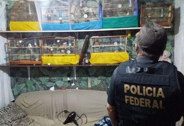 Imagem da noticia Polícia de SP cumpre mandados contra comércio ilegal de animais