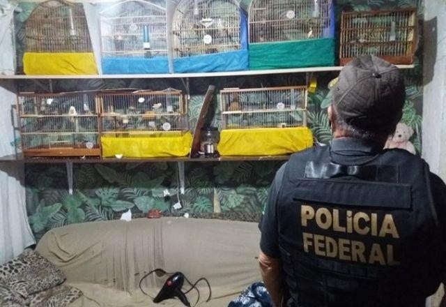 Polícia de SP cumpre mandados contra comércio ilegal de animais