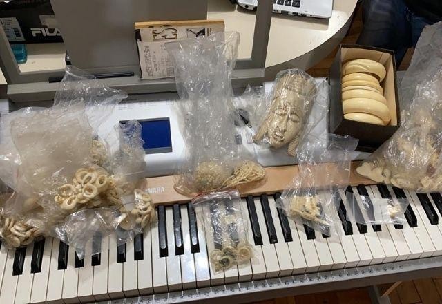 Polícia Federal investiga comércio ilegal de marfim em São Paulo