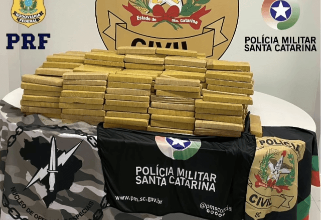 Imagem da noticia Polícia Civil de SC apreende mais de 200kg de maconha durante megaoperação