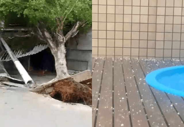 Imagem da noticia Chuva de granizo e ventos fortes atingem o Rio; árvores foram arrancadas pela raiz