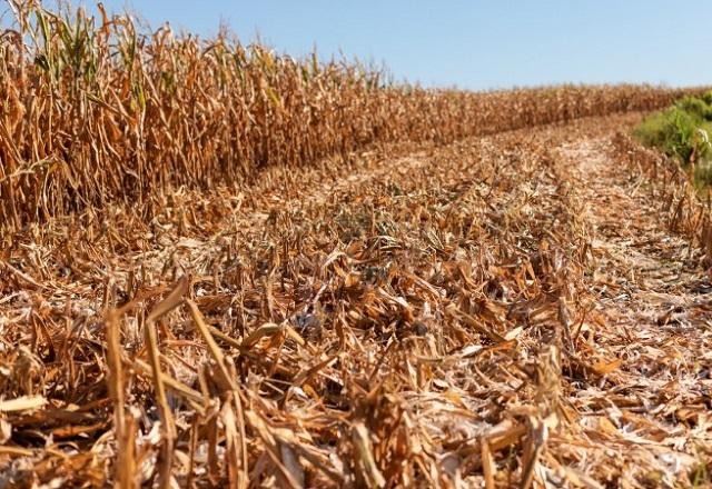 Imagem da noticia Defesa Civil Nacional reconhece situação de emergência em 19 cidades