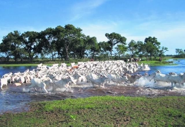 Imagem da noticia Projetos de Lei que mudam uso do solo em Mato Grosso geram polêmicas