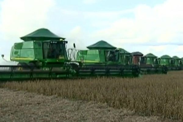 Imagem da noticia Parceria vai reduzir burocracia no agronegócio