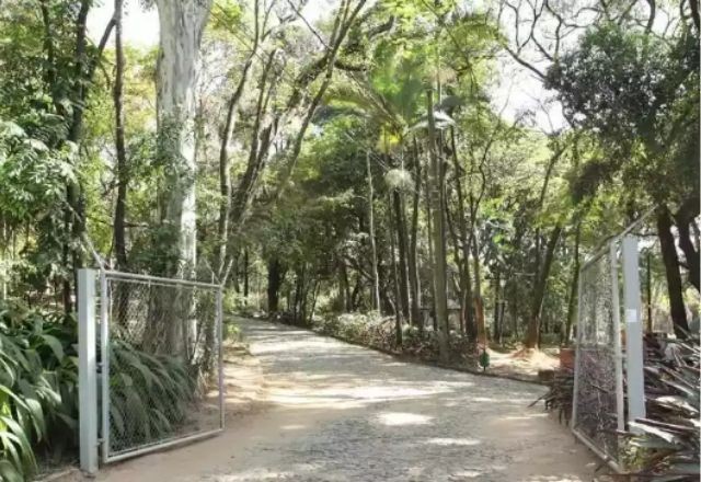 Imagem da noticia Mulher é estuprada, golpeada com pedra e se finge de morta em parque de BH; homem foge nu