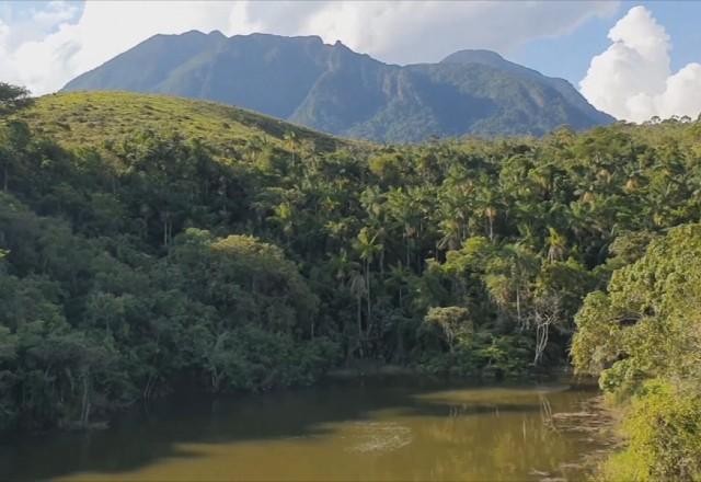 Imagem da noticia Conheça o parque nacional mais antigo do país e outras atrações em Itatiaia