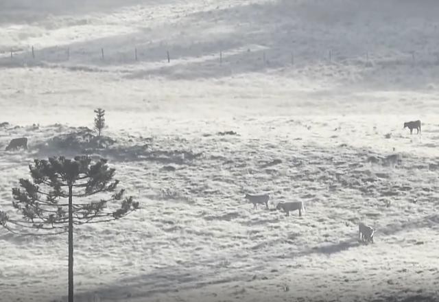 Imagem da noticia Cidade de SC registra segunda temperatura negativa em 68 anos