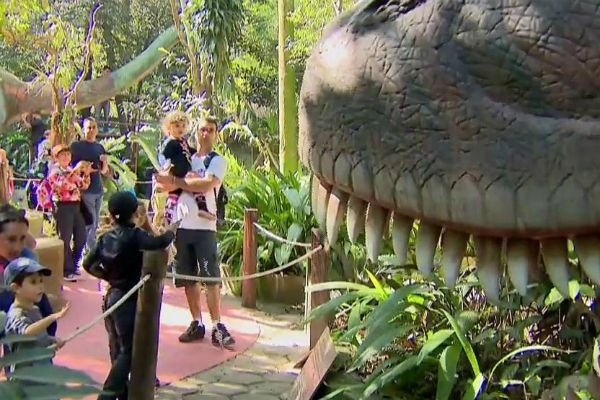 Pegadas de dinossauros estão expostas no Zoológico de São Paulo
