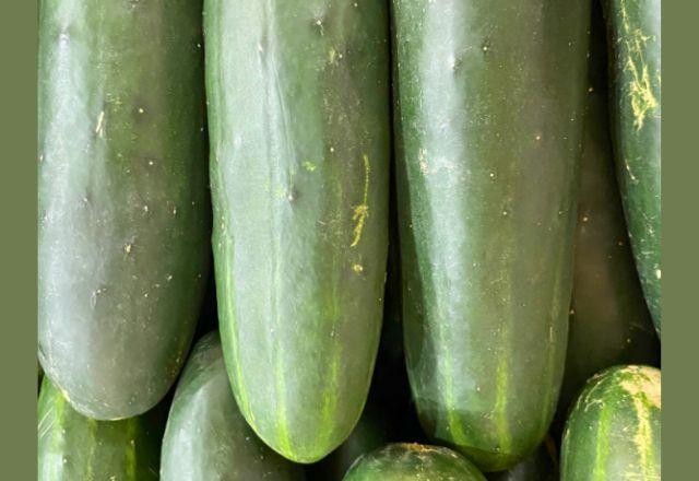 Imagem da noticia Pepino comum é o destaque da semana no atacado da CEAGESP