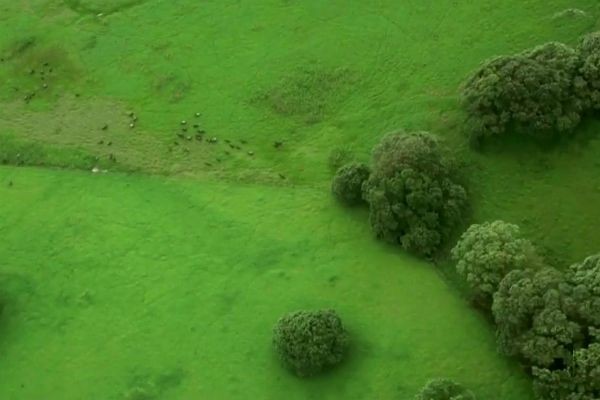 Imagem da noticia Pequenos produtores ajudam a recuperar áreas de mata na Amazônia