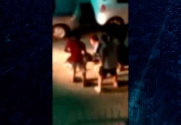 Imagem da noticia Pitbulls atacam cão de idosa até a morte em Salvador