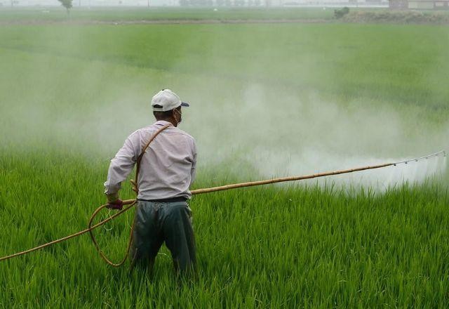Imagem da noticia Pacote do Veneno: Senado vota hoje projeto que muda autorização para agrotóxicos
