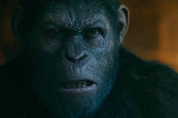 Imagem da noticia ´Planeta dos Macacos - A Guerra´ estreia no Brasil