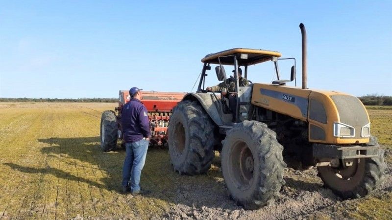 Imagem da noticia Tragédia no Sul deve afetar preço do arroz em todo o país e mobiliza governo federal