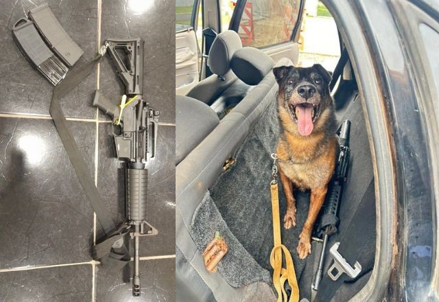 Com ajuda de cão, PF encontra fuzil usado por fugitivo de Mossoró (RN)